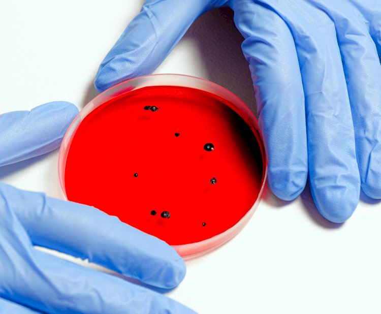 Neteisinga informacija apie naująjį koronavirą nužudė šimtus žmonių, sakoma tyrime